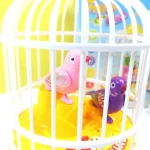 Sensor Happy Birds With Cute Voices